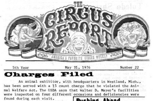 Screen Shot 2016-05-09 at 11.24.41 AM