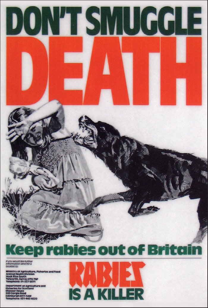 Rabies Poster