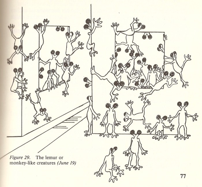 andreasson affair lemurs